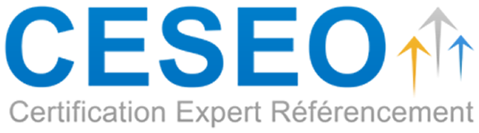 certification ceseo